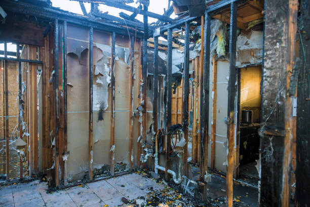 Professional Smoke Damage Removal technician working in East Stroudsburg, PA